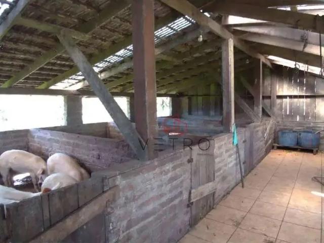 Sítio e chácara venda em Região Geográfica Imediata de Caxias do Sul, Canela