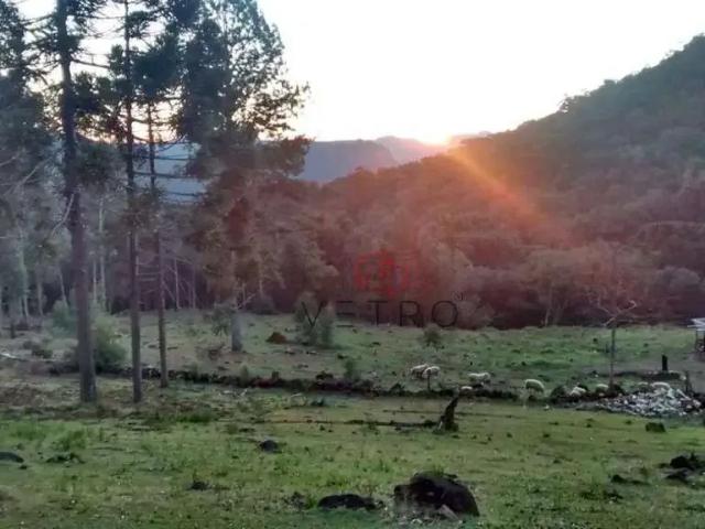 Sítio e chácara venda em Região Geográfica Imediata de Caxias do Sul, Canela
