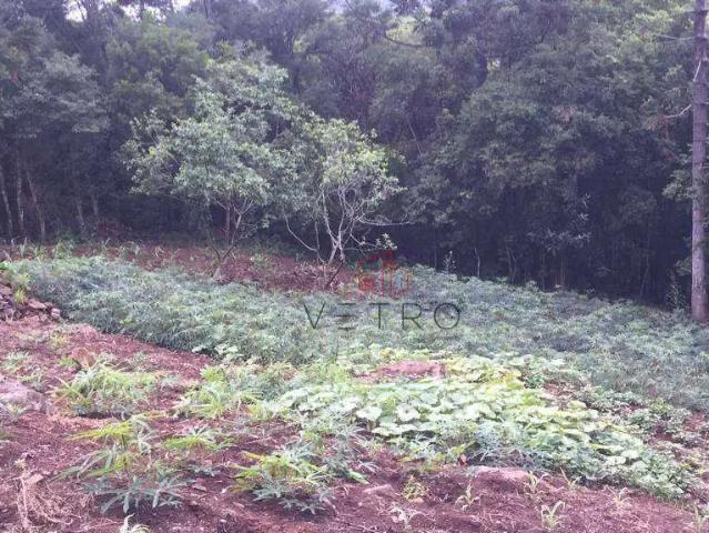 Sítio e chácara venda em Região Geográfica Imediata de Caxias do Sul, Canela