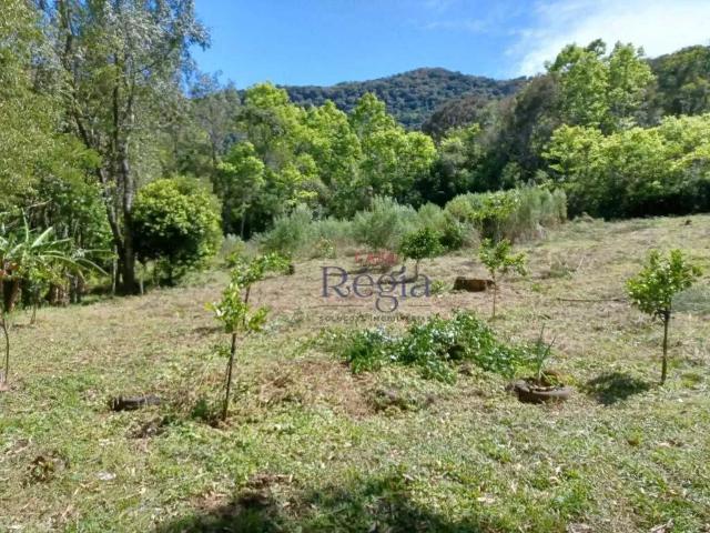 Sítio e chácara venda em Região Geográfica Imediata de Caxias do Sul, Canela