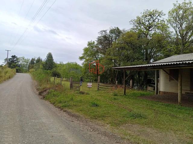 Sítio e chácara venda em Canela