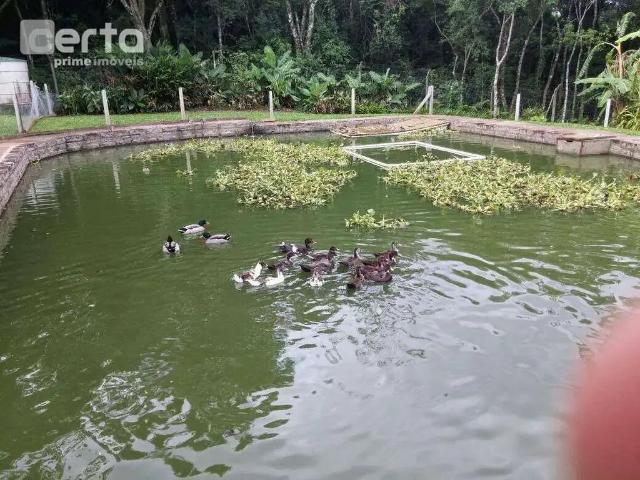 Sítio e chácara venda em Região Geográfica Imediata de Caxias do Sul, Canela
