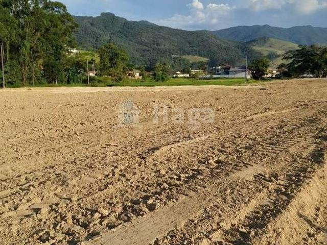 Sítio e chácara venda em Região Geográfica Imediata de Brusque, Canelinha
