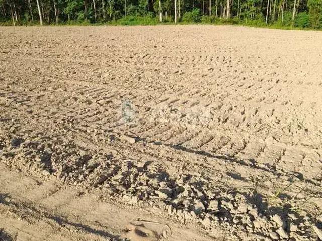 Sítio e chácara venda em Região Geográfica Imediata de Brusque, Canelinha