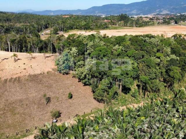 Sítio e chácara venda em Região Geográfica Imediata de Brusque, Canelinha