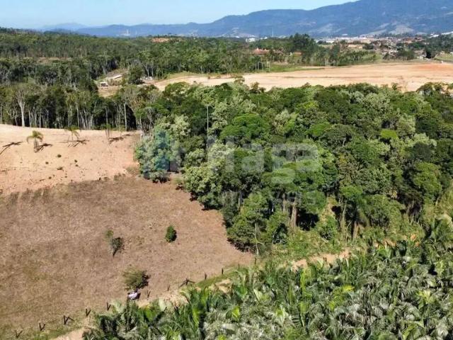 Sítio e chácara venda em Região Geográfica Imediata de Brusque, Canelinha