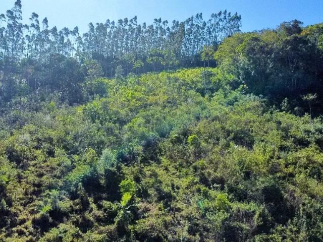 Sítio e chácara venda em Região Geográfica Imediata de Brusque, Canelinha
