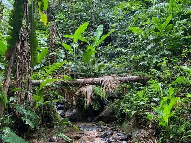 Sítio e chácara venda em Região Geográfica Imediata de Brusque, Canelinha