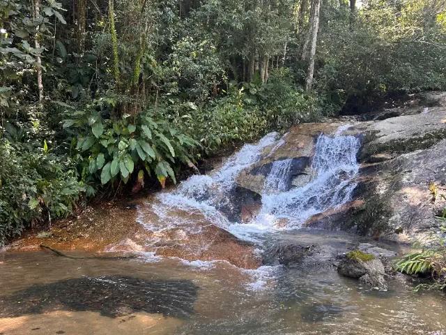 Sítio e chácara venda em Região Geográfica Imediata de Brusque, Canelinha
