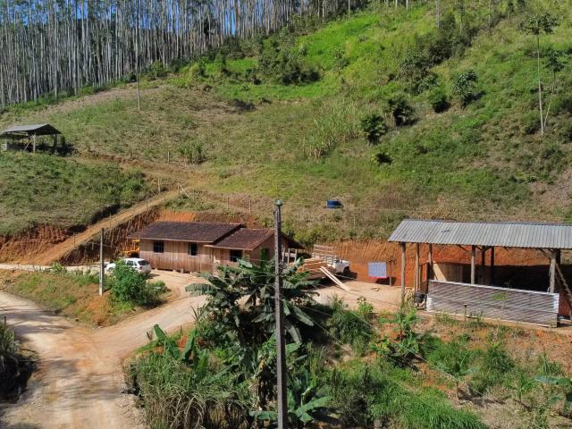 Sítio e chácara venda em Região Geográfica Imediata de Brusque, Canelinha