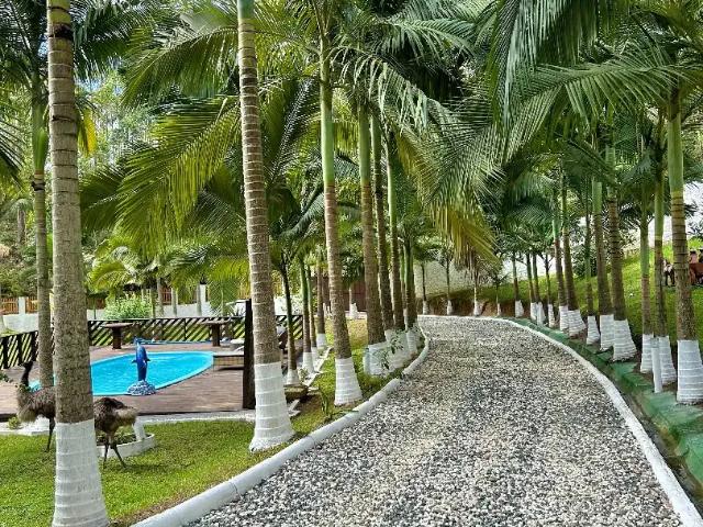 Sítio e chácara venda em Areão, Canelinha