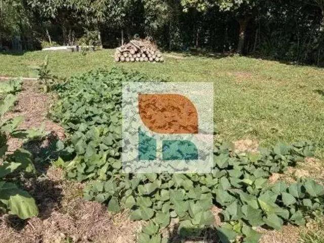 Sítio e chácara venda em Região Geográfica Imediata de Brusque, Canelinha
