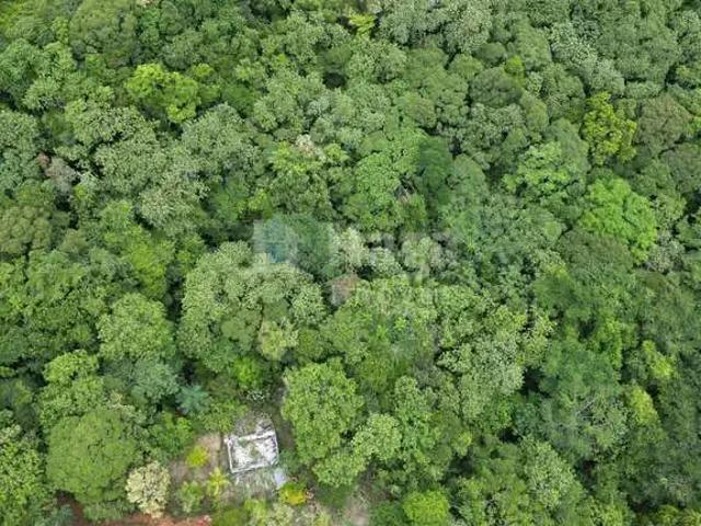 Sítio e chácara venda em Região Geográfica Imediata de Brusque, Canelinha