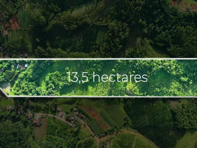 Sítio e chácara venda em Moura, Canelinha