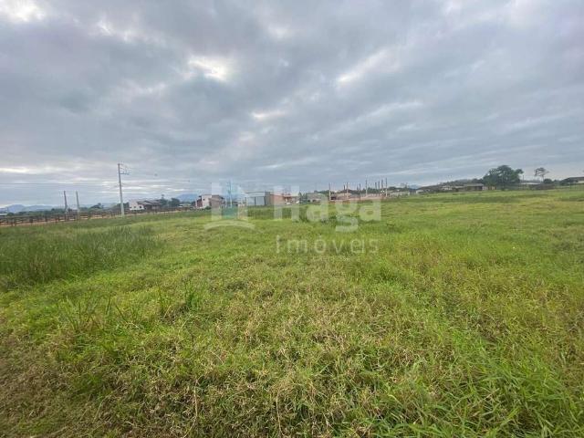 Sítio e chácara venda em Região Geográfica Imediata de Brusque, Canelinha