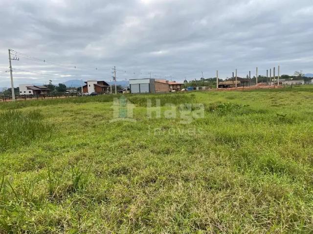 Sítio e chácara venda em Região Geográfica Imediata de Brusque, Canelinha