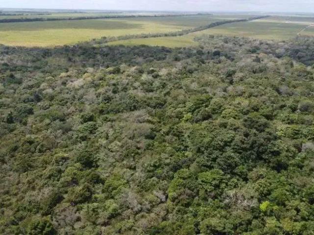 Sítio e chácara venda em Região Geográfica Imediata de Canguaretama, Pedro Velho