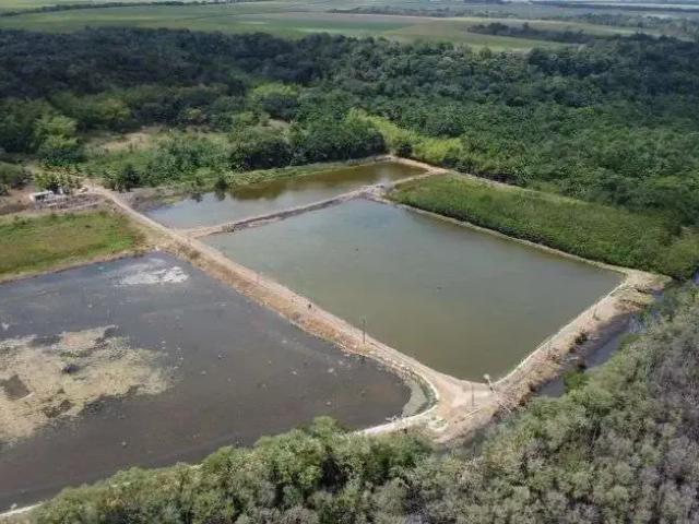 Sítio e chácara venda em Região Geográfica Imediata de Canguaretama, Pedro Velho