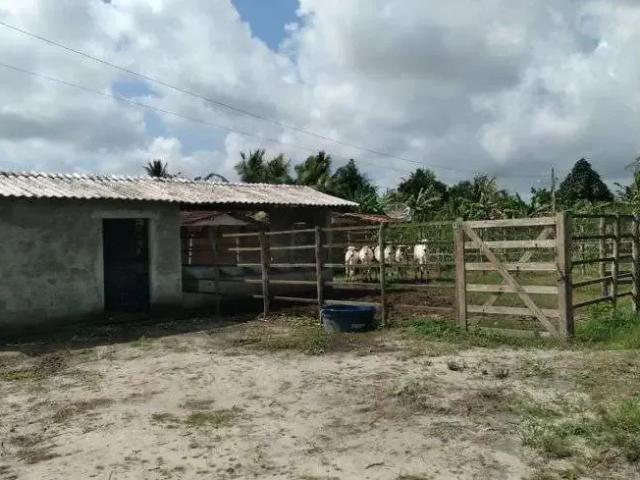 Sítio e chácara venda em Região Geográfica Imediata de Canguaretama, Pedro Velho