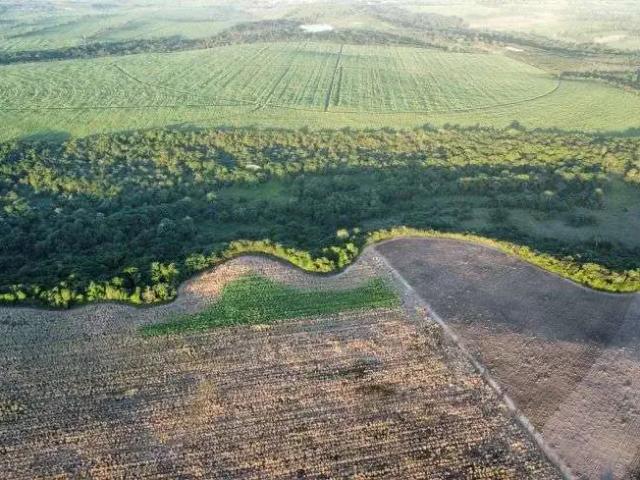 Sítio e chácara venda em Região Geográfica Imediata de Canguaretama, Canguaretama