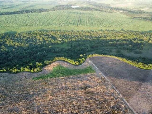Sítio e chácara venda em Canguaretama