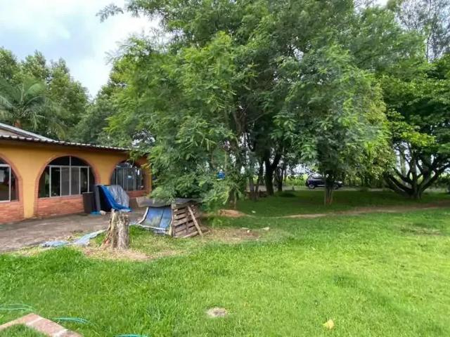 Sítio e chácara venda em Região Geográfica Imediata de Porto Alegre, Região Metropolitana de Porto Alegre