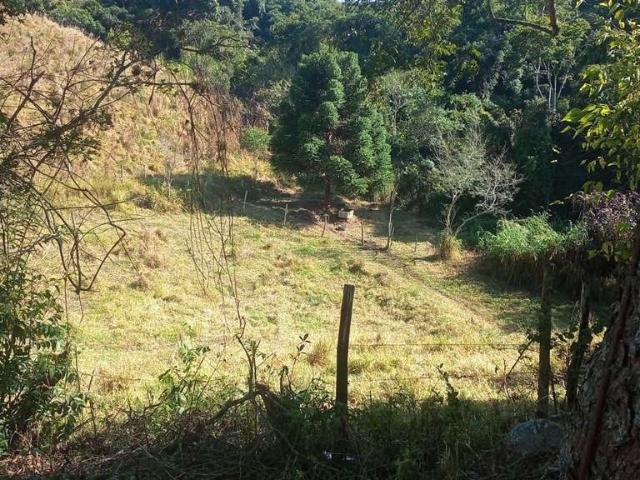 Sítio e chácara venda em Região Imediata de Itapeva, Capão Bonito