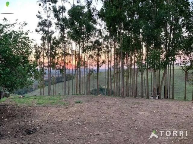 Sítio e chácara venda em Região Imediata de Itapeva, Capão Bonito