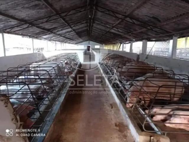 Sítio e chácara venda em Região Geográfica Imediata de Francisco Beltrão, Capanema