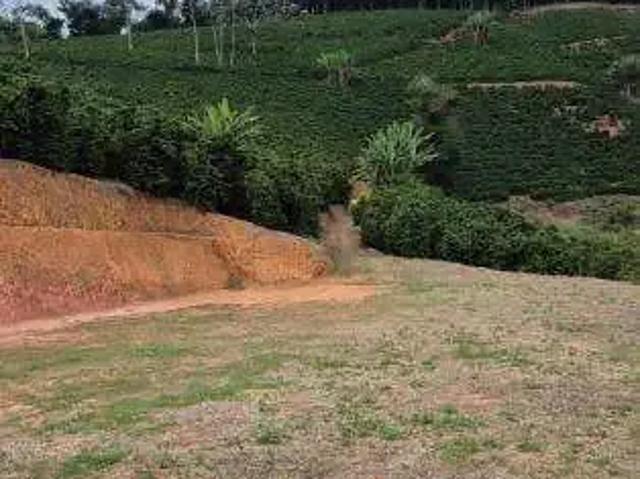 Sítio e chácara venda em Região Geográfica Imediata de Catalão, Catalão