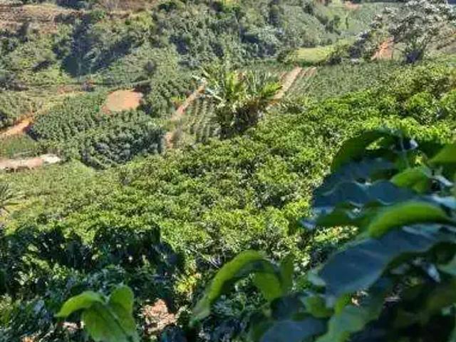 Sítio e chácara venda em Região Geográfica Imediata de Catalão, Catalão