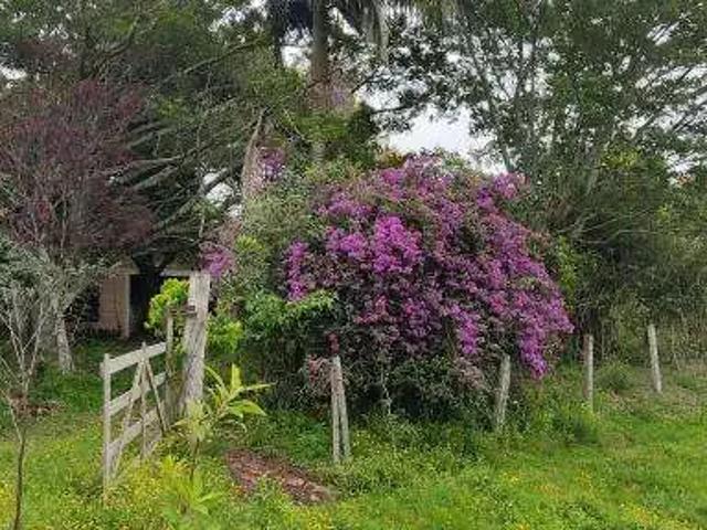 Sítio e chácara venda em Região Geográfica Imediata de Novo Hamburgo - São Leopoldo, Região Metropolitana de Porto Alegre