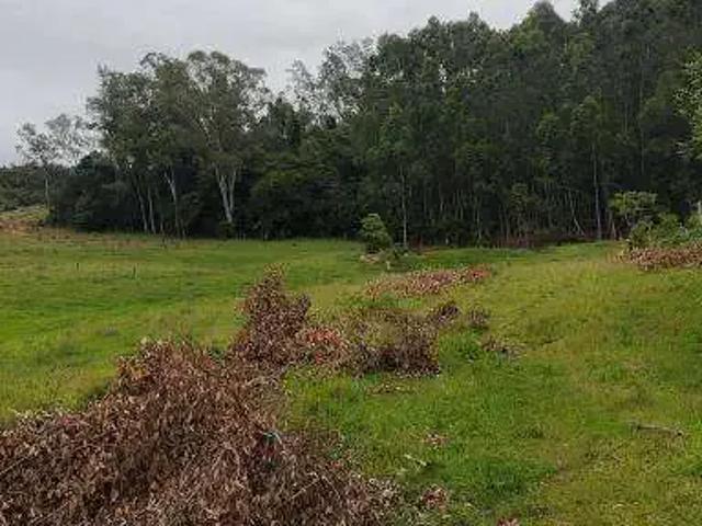 Sítio e chácara venda em Região Geográfica Imediata de Novo Hamburgo - São Leopoldo, Região Metropolitana de Porto Alegre