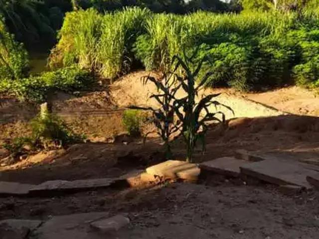 Sítio e chácara venda em Região Geográfica Imediata de Novo Hamburgo - São Leopoldo, Região Metropolitana de Porto Alegre