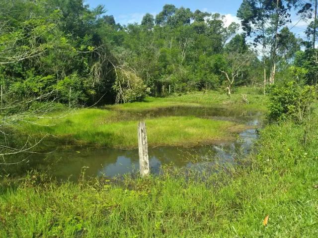 Sítio e chácara venda em Região Geográfica Imediata de Novo Hamburgo - São Leopoldo, Região Metropolitana de Porto Alegre