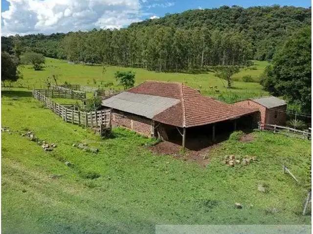 Sítio e chácara venda em Região Geográfica Imediata de Novo Hamburgo - São Leopoldo, Região Metropolitana de Porto Alegre