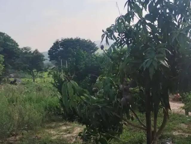 Sítio e chácara venda em Região Imediata de Sorocaba, Região Metropolitana de Sorocaba