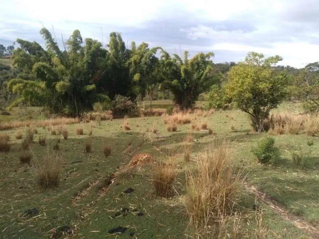 Sítio e chácara venda em Região Imediata de Sorocaba, Região Metropolitana de Sorocaba