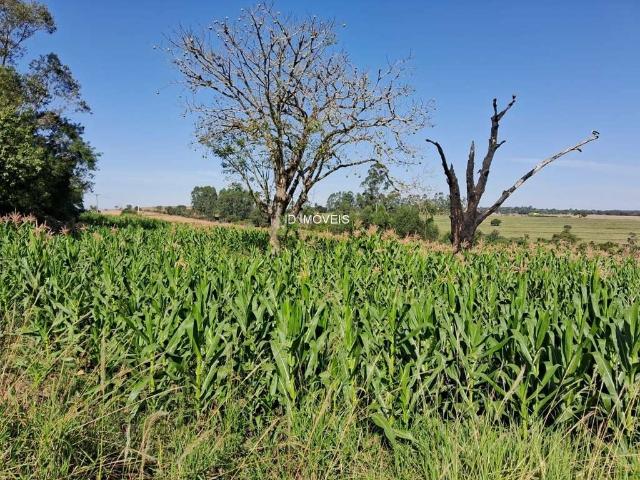 Sítio e chácara venda em Região Imediata de Sorocaba, Região Metropolitana de Sorocaba