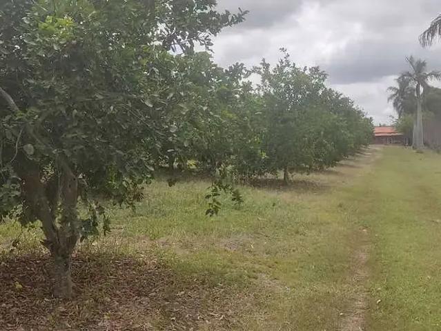 Sítio e chácara venda em Capela do Alto