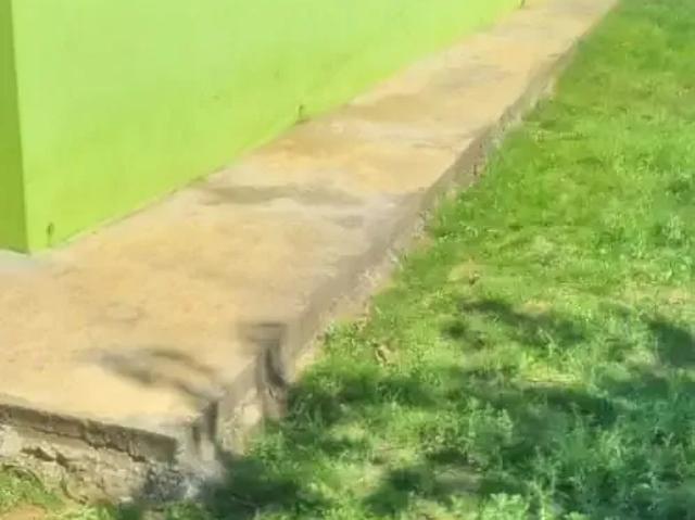 Sítio e chácara venda em Guapiara