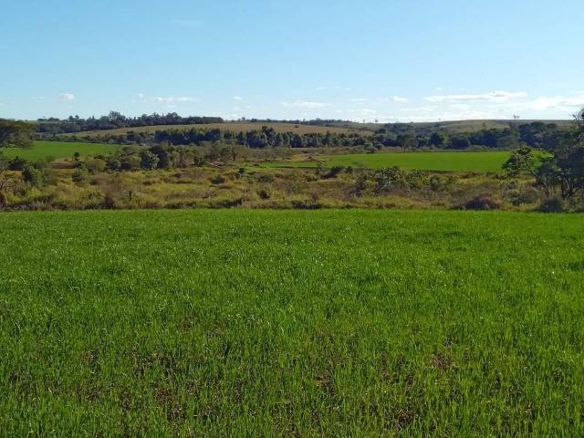 Sítio e chácara venda em Região Imediata de Sorocaba, Região Metropolitana de Sorocaba