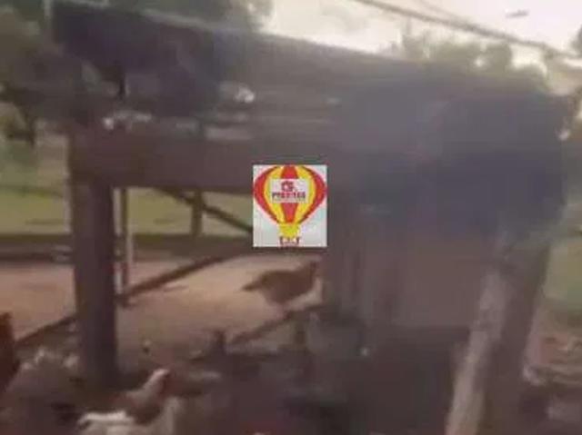 Sítio e chácara venda em Capela do Alto, Região Geográfica Intermediária de Sorocaba