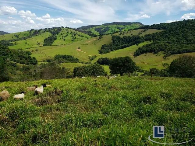 Sítio e chácara venda em Região Geográfica Imediata de Piumhi, Capitólio