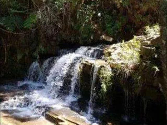 Sítio e chácara venda em Região Geográfica Imediata de Piumhi, Capitólio