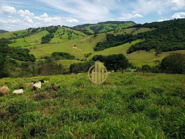 Sítio e chácara venda em Região Geográfica Imediata de Piumhi, Capitólio
