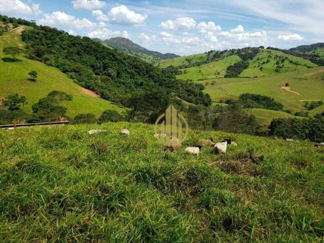 Sítio e chácara venda em Região Geográfica Imediata de Piumhi, Capitólio