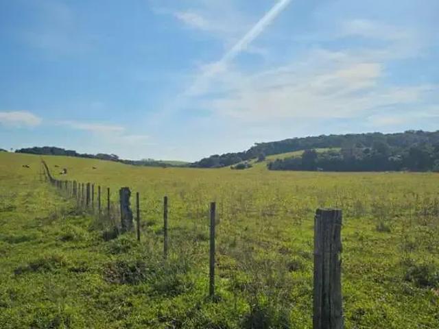 Sítio e chácara venda em Região Geográfica Imediata de Porto Alegre, Aglomeração Urbana do Litoral Norte