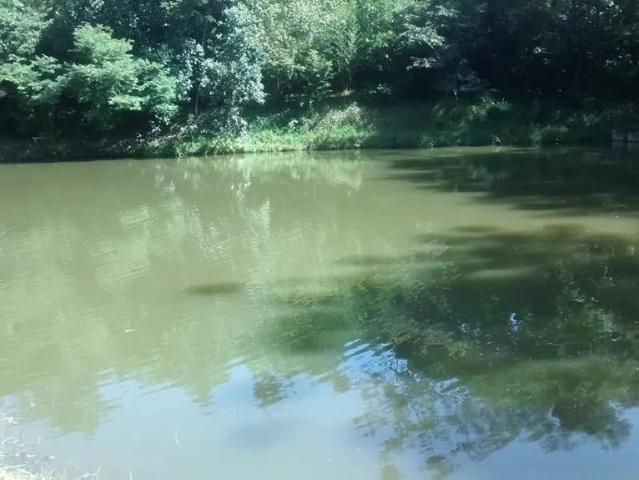 Sítio e chácara venda em Capivari