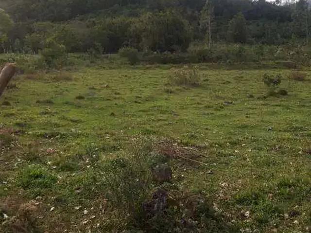 Sítio e chácara venda em Região Geográfica Imediata de Porto Alegre, Aglomeração Urbana do Litoral Norte